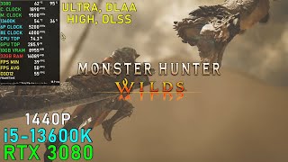 Monster Hunter Wilds Beta ULTRA DLAA 1440P  RTX 3080 amp 13600K [upl. by Jayson]