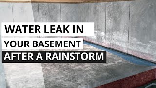 Water Leak in Basement After Rain Animation [upl. by Rockafellow]