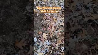 Ego 765 leaf blower Works great mtb short [upl. by Brian]