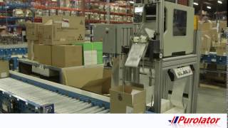 Purolator Logistique  Vidéo sur lentreposagelexécution des commandes [upl. by Rezal533]