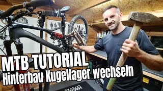 Kugellager am MTB Hinterbau wechseln  Mountainbike Tutorial  Specialized Stumpjumper [upl. by Nylirek]