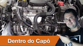 Dr CARRO  Visão geral do motor para leigos [upl. by Yrol728]