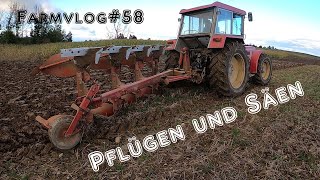 Wintergerste und Dinkel Säen  FarmVlog 58 [upl. by Trefler144]