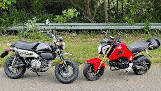 Honda Grom vs Honda Monkey [upl. by Gabor]