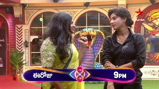 Bigg Boss Telugu 8  Day 70  Promo 1  Unforgettable Hilarious Moments 🤣 Nagarjuna  Star Maa [upl. by Eben]