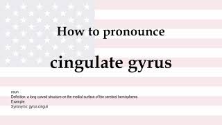 How to pronounce cingulate gyrus  meaning [upl. by Aizitel]