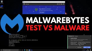 Malwarebytes 2022 Test vs Malware [upl. by Ebbie275]