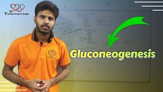 Gluconeogenesis in bangla [upl. by Sadiras]