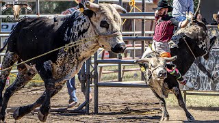 Rancho Los Gavilanes Vs Puro Jinete Joven en Lakeport California 2024 [upl. by Lerrej127]