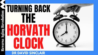 Turning Back The Horvath Clock  Dr David Sinclair Interview amp Dr Rhonda Patrick Interview Clips [upl. by Allicsirp817]