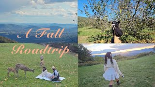 Travel vlog 🍂🍎 I drove 800 miles northward to the blue ridge mountains [upl. by Goodhen]