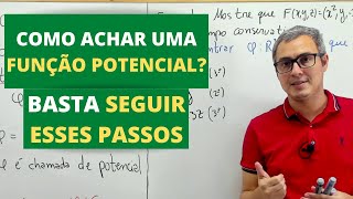 CAMPO CONSERVATIVO E FUNÇÃO POTENCIAL [upl. by Aitercal950]