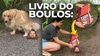 LI O LIVRO DO GUILHERME BOULOS e agora preciso de um ANALGÉSICO [upl. by Nylynnej]