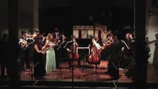 Ned Rorem String Symphony mvtI quotWaltzquot  YouTube Music [upl. by Yerac]