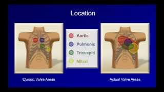 Heart Murmurs [upl. by Cowan]