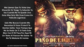 Tu Paño De Lagrimas  LuiG 21 Plus Ft Arcangel Video Letra Reggaetn 2014 [upl. by Enej]