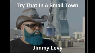 Try That In A Small Town  Jason Aldean  Jimmy Levy Cover [upl. by Portia141]