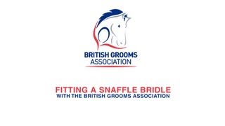 Fitting a Snaffle Bridle with the British Grooms Association [upl. by Erodroeht26]