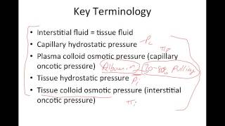 Capillary Fluid Dynamics [upl. by Zebaj251]