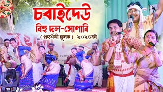 চৰাইদেউ বিহু দলসোণাৰি ২০২৩বৰ্ষ  প্ৰদৰ্শনী মূলক  Charaidaw Bihu Dol2023 [upl. by Havener]