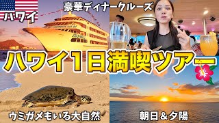 ハワイを効率よく観光したい方必見‼️オアフ島1日満喫ツアーが最高すぎた✨ [upl. by Bihas280]