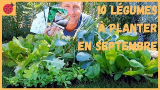 10 légumes à planter en septembre au potager [upl. by Ecnerrat]