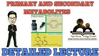 Primary and secondary metabolites in detail  NCERT for NEET AIIMS and JIPMER [upl. by Savadove]