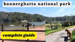 Bannerghatta national park bangalore safari  Zoo  Butterfly Park  complete guide [upl. by Pfeffer282]