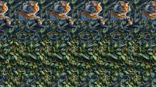 Animal Attraction 🐱  3D Stereogram Illusions [upl. by Oiluj]