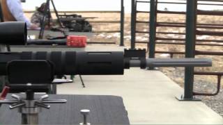 Windham Weaponry Varmint Exterminator Extremely Accurate Predator Rifle [upl. by Ariaec]