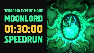 Terraria  Expert Mode Speedrun Moonlord in 90 minutes no major glitches [upl. by Ansela]