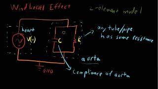 Windkessel Effect  Aortic compliance [upl. by Murrah]