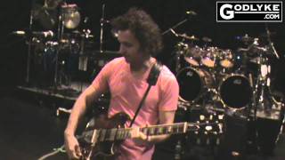 TWA Triskelion Pedal on Dweezil Zappa World Tour [upl. by Monah721]