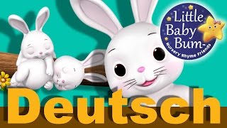 Die Kleinen Häschen  Kinderlieder  LittleBabyBum [upl. by Yelyab]