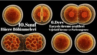 10 Sınıf Biyoloji Partenogenez ve Vejetatif üreme 6Ders [upl. by Fennelly]