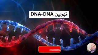 مقطع الفيديو يشرح عملية تهجين الحمض النووي DNA [upl. by Pleione311]