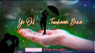 Ye Dil Tumhaare Bina  New Romantic Song 2024  ßita Music [upl. by Boyd703]