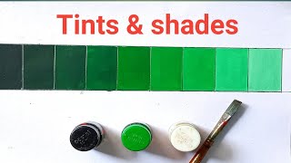 How to make monochromatic colours  acrylic painting tutorial for beginners  tints amp shades [upl. by Ojimmas]