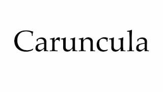 How to Pronounce Caruncula [upl. by Alver]