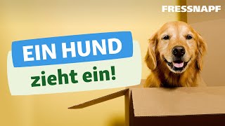 Ein Hund zieht ein  Alles zum Start mit dem neuen Hund [upl. by Sherilyn]