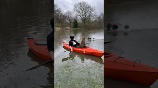 Flooded yard and an RC car 🏎️💨💦 arrmakraton [upl. by Sair761]