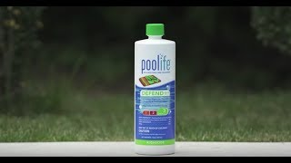 poolife® Defend® Algaecide [upl. by Edasalof848]