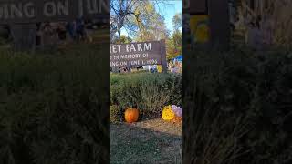 Fall fest  HOLMDEL NJ पतझड़ का आरंभ और शीतकाल का आगमन [upl. by Dranik]