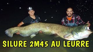 SILURE RECORD 2M45 au leurre gopro en direct Mohamed Fishing [upl. by Ringe]