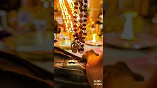 Arinthum ariyamalum Ayyappan songs sabarimala songs [upl. by Ohcirej313]