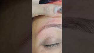 Eyebrows tutorial for beginners easy and quick eyebrow defined from best eyebrow liners [upl. by Seugram]