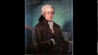 W A Mozart  KV 299 297c  Concerto for flute amp harp in C major [upl. by Weigle40]