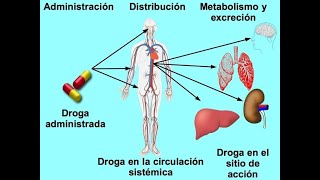 FARMACOCINETICA DE LOS GLUCOCORTICOIDES E INDICACIONES [upl. by Atileda]