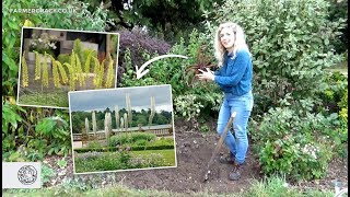 How to grow Eremurus Foxtail Lily bulbstubers  FarmerGracycouk [upl. by Fernando]