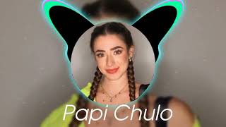 Papi Chulo Remix 2024  Latin Vibes by Marco Rios  Original Track by Sofía Castillo [upl. by Yeslah52]